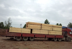 寶麗豐木業貨物運輸企業實力