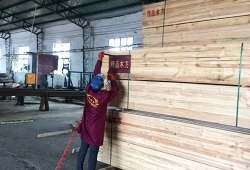鄭州建筑木方